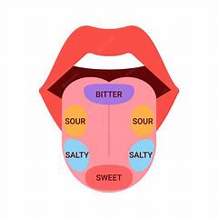 Gustatory Gps Guide Your Taste Buds To The Closest Chili S