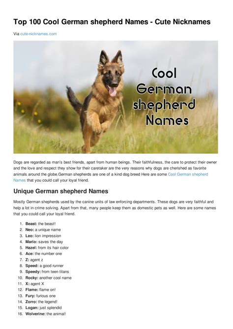 Cute German Shepherd Puppy Names