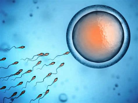 Why A Million Sperm Cells Are Released During Every Ejaculation Boldsky Com