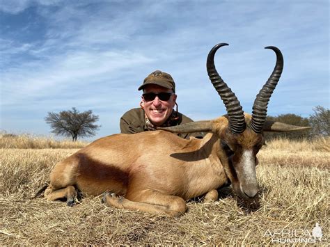 Springbok Hunting Limpopo South Africa