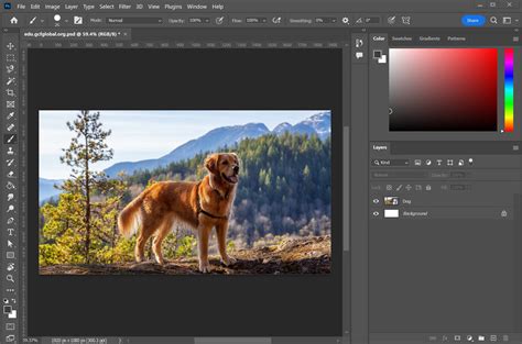 Photoshop Basics Getting To Know The Photoshop Interface