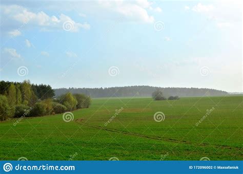 View Of A Field With Green Grass During The Rainy. Spring Weather During Short Rain Stock Photo 