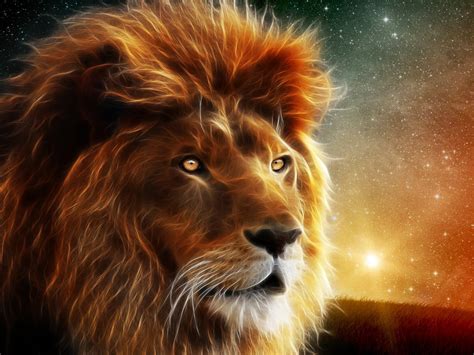 Lion Wallpaper Hd Digital Art Animal