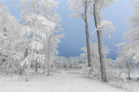 Hoar Frost Photograph By Clare Kaczmarek Pixels