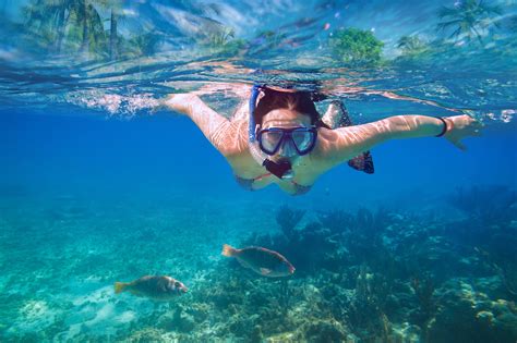 Snorkeling Croatia 12 Trips With Best Prices 2022 Checkyeti