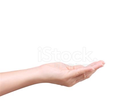 Open Palm A Hand Gesture Stock Photo Royalty Free Freeimages