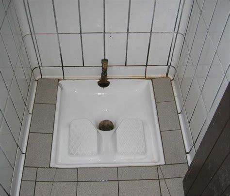 Squat Toilets Wikidoc