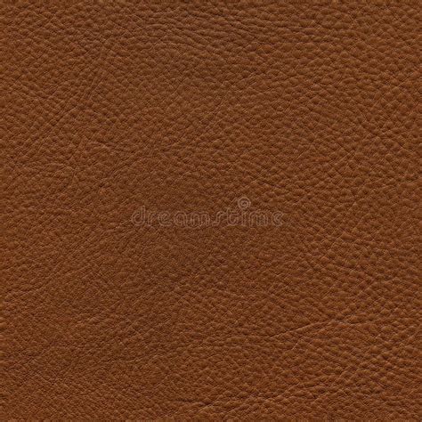 Seamless Leather Texture Stock Photo Image Of Segment 19209542