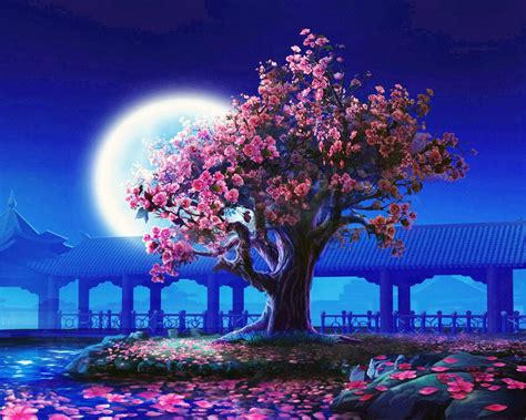 Anime Cherry Blossom Night Wallpaper Night Cherry Blossom Wallpapers