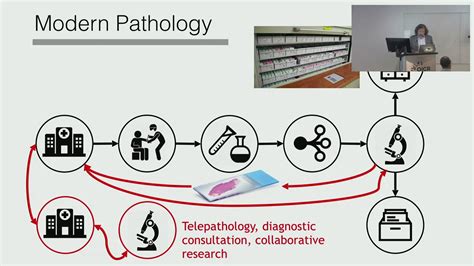 Introduction To Digital Pathology And Ai Algorithms Youtube