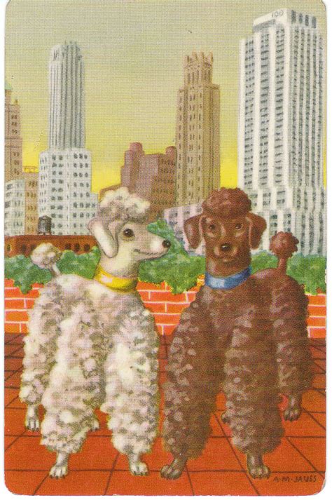 View From The Birdhouse Vintage Dog Trading Cards
