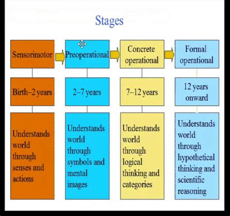 Stages Of Development Piaget S Stages Of Cognitive Development
