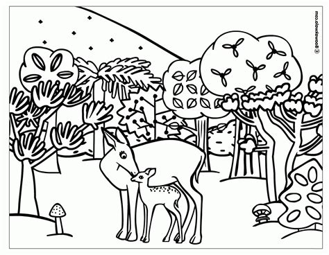 Forest Animals Coloring Pages Coloring Pages For Kids