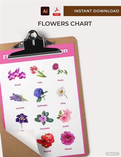 Flowers Chart In Illustrator Pdf Download