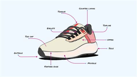 Anatomy Of The Shoe Vlrengbr