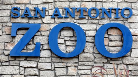San Antonio Zoo Adds New Leadership San Antonio Business Journal