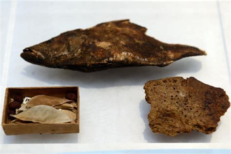 Khentiamentiu Worlds Oldest Fish Supper Revealed At Ancient Egypt