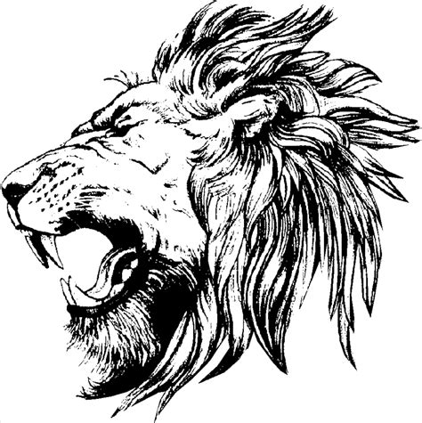 Free Lion Black And White Drawing Download Free Lion Black And White