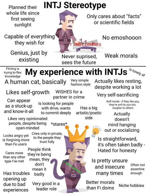 intj stereotype vs my experience with intjs can differ based on the person ofc mbtimemes intp