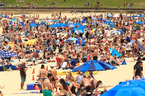 imágenes de crowded beach descarga imágenes gratuitas en unsplash