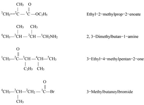 Nomenclature Of Hydrocarbons Iupac Naming Rules Physics Wallah