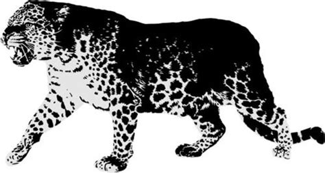 Leopard Stencil Animal Stencil Stencil Designs Stencil Projects