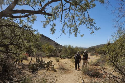 Arizona Hiking Wild Burro Trail