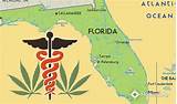 Photos of Growing Medical Marijuana In Florida