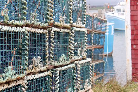 Navigator Magazine Troubled Lobster Season Wraps Up In
