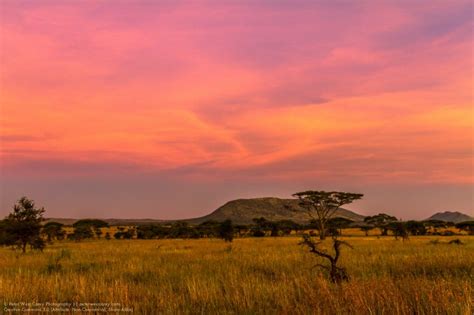 Sunset Clouds Serengeti National Park Tanzania ~ Peter West Carey