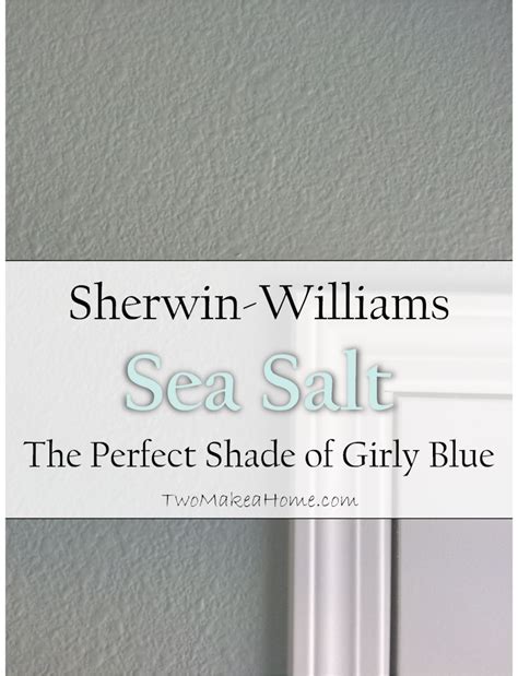 00 Sherwin Williams Sea Salt Perfect Shade Girly Blue Interior Paint