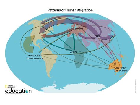 Describe The Patterns Of Migration Science Structure And