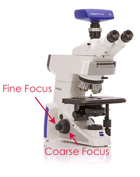 Functions Of Fine And Coarse Adjustment Knobs In Microscopes