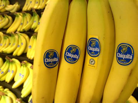 Chiquita Bananas Chiquita Bananas 82014 By Mike Mozart O Flickr