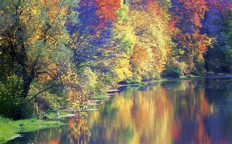 Gorgeous Autumn River Fall Autumn Nature Reflections Trees Rivers