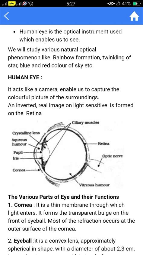 Explain The Structure And Function Of Human Eye