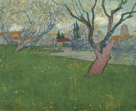Vincent Van Gogh Olive Orchard Famous Paintings Impressionism