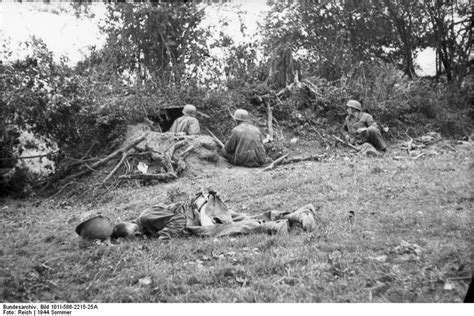 German Paratroopers In Action France Ww2 And More Pinterest
