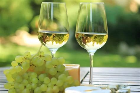 Grenache Wine Guide Origin Type Taste Made Serve
