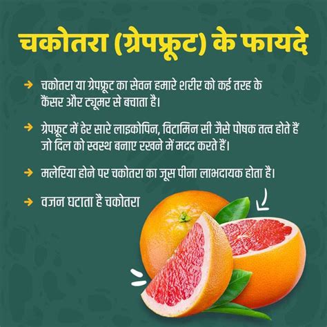 औषधीय गुणों से मालामाल चकोतरा के लाजवाब फायदे Grapefruit Health