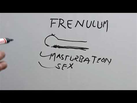 How To Cut Frenulum At Home