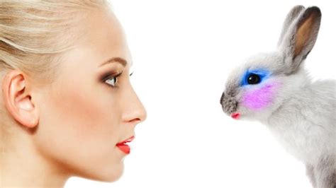 Animal Testing | Shop Ethical!