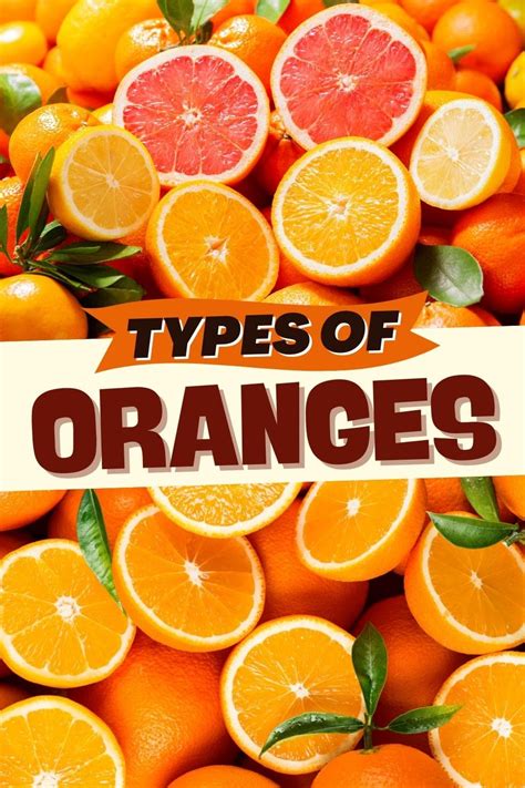 20 Different Types Of Oranges To Try Insanely Good