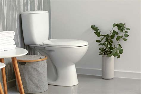 Getting To Know Five Types Of Toilets For Your Home Archify Malaysia