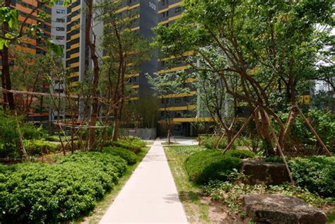 My Block Residential Landscape In Daegu South Korea