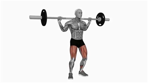 Mastering The Barbell Full Squat A Beginners Ultimate Guide 1000