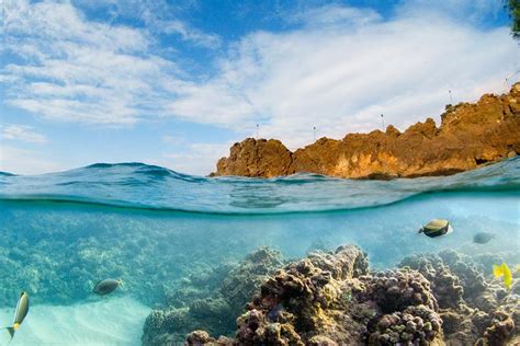 #1 in best hawaiian islands. Hawaii Vacation Packages | Sunrise Travel