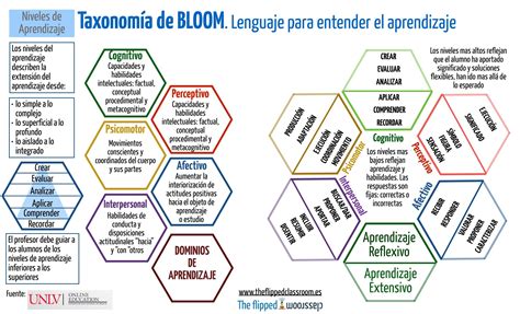 Taxonomia De Bloom Taxonomia De Bloom Taxonomia Infografia Images