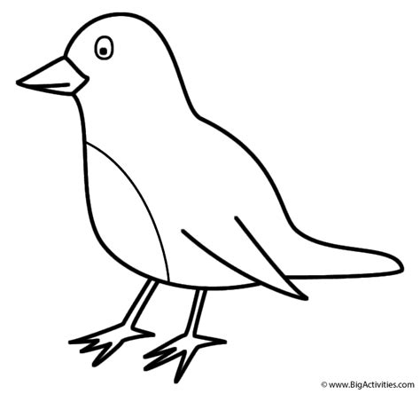 Color your own are black and white line drawings or coloring pages, all of them my own original artwork, which you can copy and color in the graphics program didn't find what you need? Robin - Coloring Page (Birds)