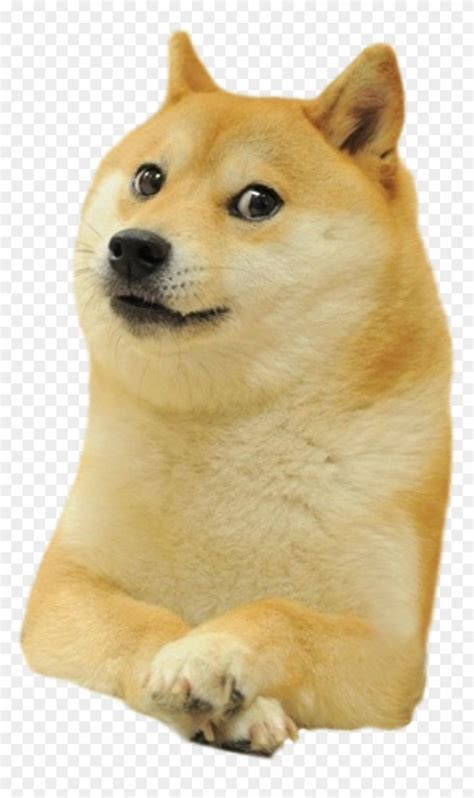 Doge Meme Png Doge Meme Doge Doge Dog